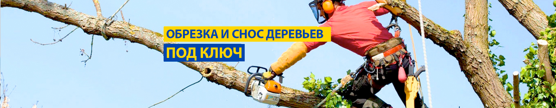 Обрезка и снос деревьев