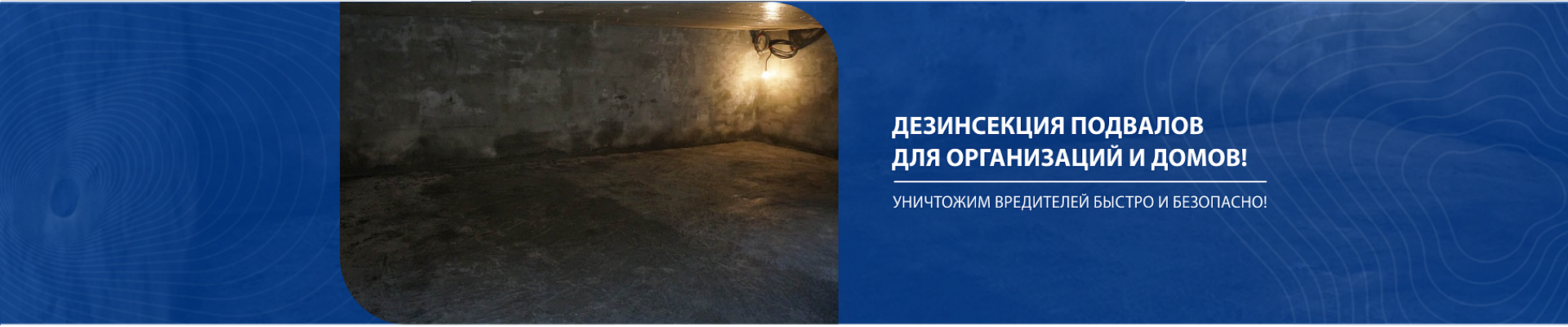 Дезинфекция подвалов